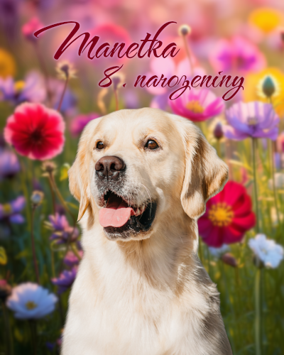 manetka nar2025