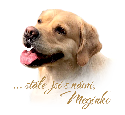 meginka stale s nami