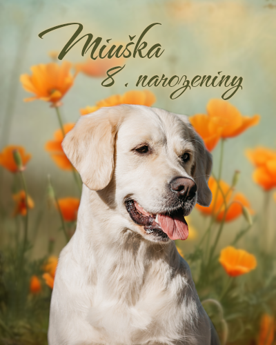 miuska nar2025