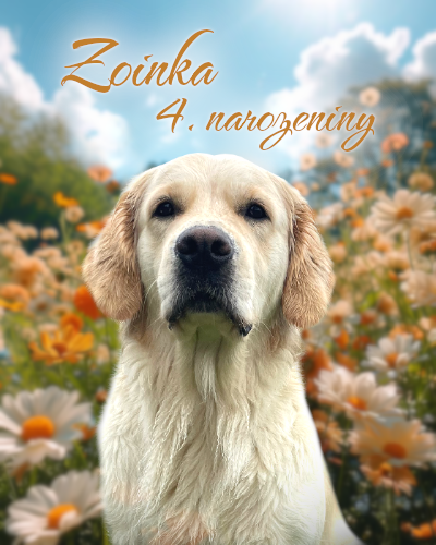 zoinka nar2025